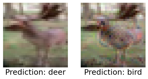 Adversarial Example