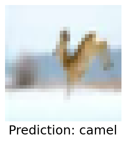 Deer classified as camel